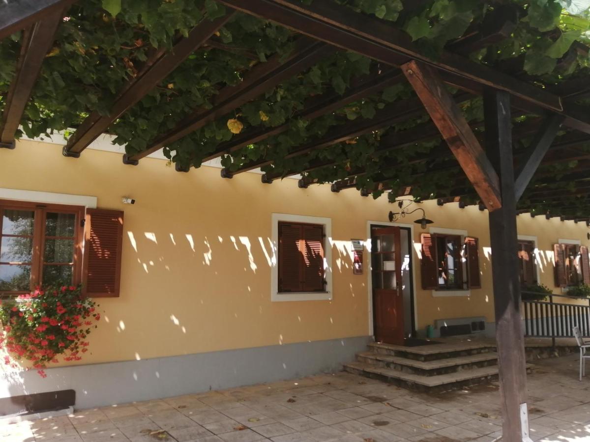 Apartmaji Svetinje Apartment Ivanjkovci Ngoại thất bức ảnh